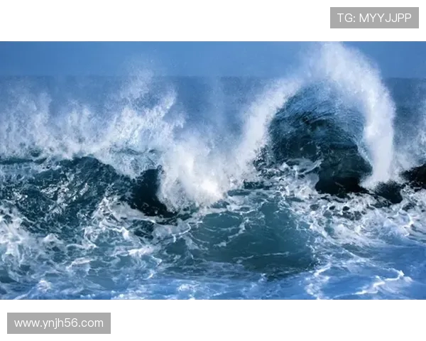 从腾空一跃到水花消散探秘跳水运动背后的力量与艺术